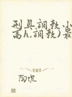 刑具调教小说(高h,调教)最新章节内容