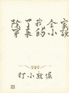 除了我全家都是穿来的小说封面