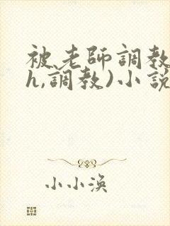 被老师调教(高h,调教)小说