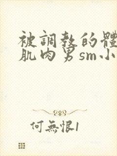 被调教的体育兵肌肉男sm小说