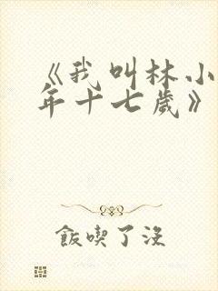 《我叫林小喜今年十七岁》