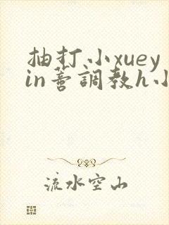 抽打小xueyin蒂调教h小说封面