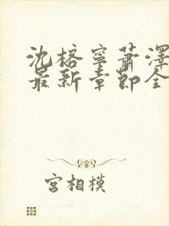 沈榕宁萧泽小说最新章节全文阅读封面