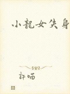 小龙女失身小说封面