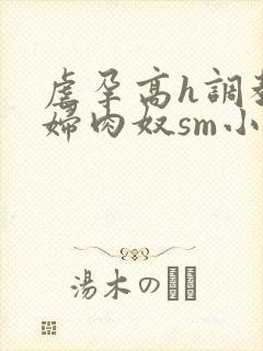 虐孕高h调教孕妇肉奴sm小说封面