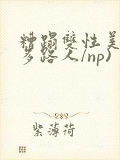 糟蹋双性美人(多路人/np)