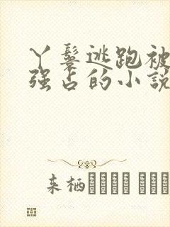 丫鬟逃跑被男主强占的小说