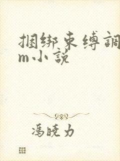 捆绑束缚调教sm小说封面