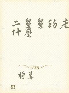 二舅舅的老婆叫什么