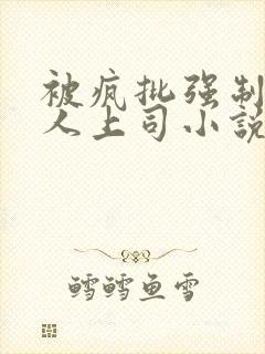 被疯批强制的美人上司小说免费阅读封面