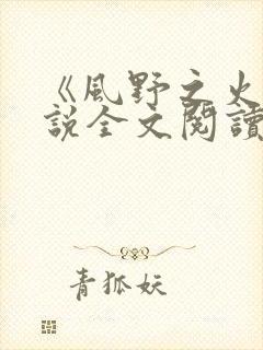 《风野之火》小说全文阅读免费