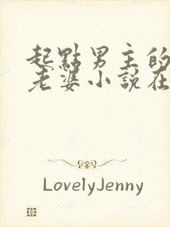 起点男主的笨蛋老婆小说在线阅读