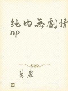 纯肉无剧情高hnp