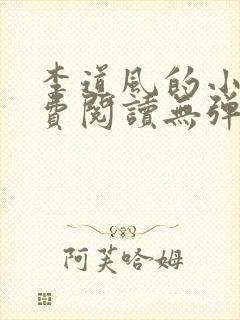 李道风的小说免费阅读无弹窗封面