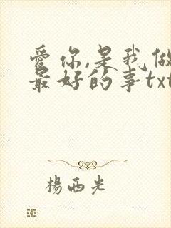 爱你,是我做过最好的事txt封面