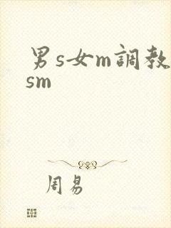 男s女m调教(sm封面