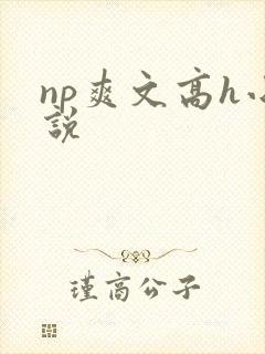 np爽文高h小说