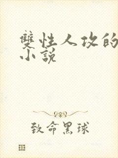 双性人攻的高h小说