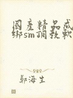 国产精品成人捆绑sm调教软件