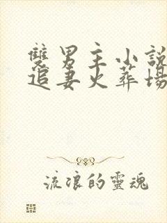 双男主小说推文追妻火葬场