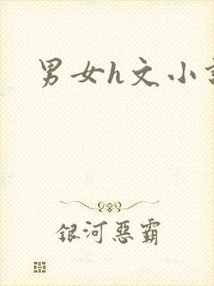 男女h文小说