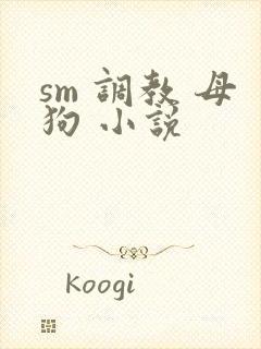sm 调教 母狗 小说封面