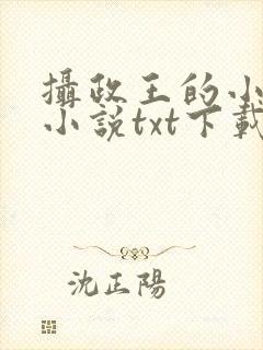 摄政王的小闲妻小说txt下载