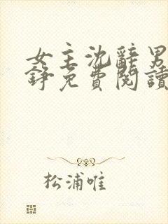 女主沈辞男主贺铮免费阅读