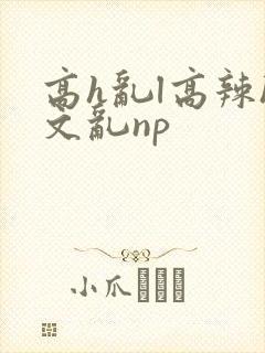 高h乱l高辣h文乱np