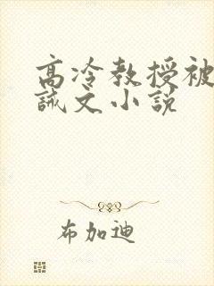 高冷教授被罚训诫文小说封面