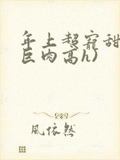 年上超宠甜文(巨肉高h)