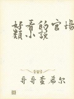 好看的官场重生类小说封面