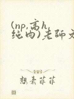 (np,高h,纯肉)老师文