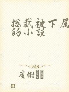 总裁被下属惩罚的小说