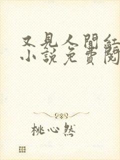 又见人间红颜笑小说免费阅读