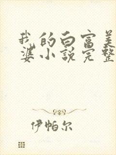 我的白富美的老婆小说完整版