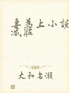 妻为上小说无删减版