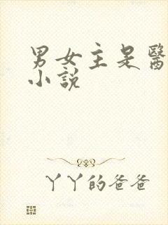 男女主是医生的小说