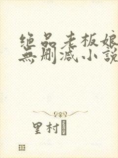 绝品老板娘完整无删减小说