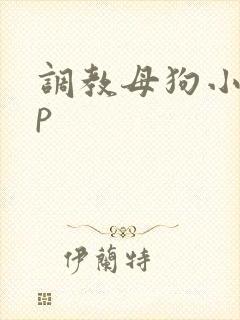 调教母狗小说np