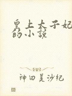 皇上太子妃沈音的小说封面