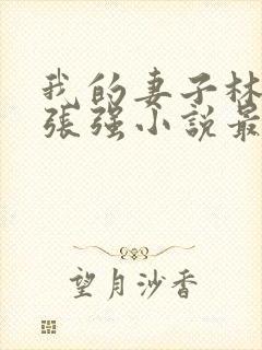 我的妻子林慧茹张强小说最新章节阅读