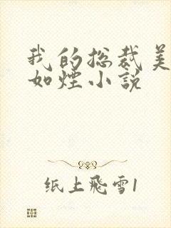 我的总裁美母柳如烟小说