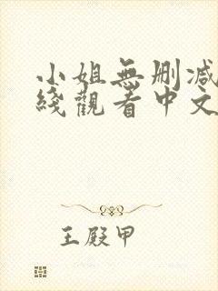 小姐无删减版在线观看中文歌词