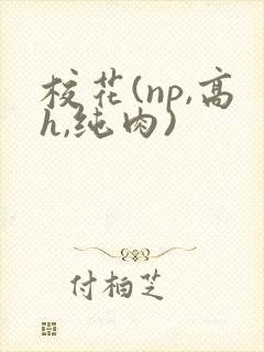校花(np,高h,纯肉)