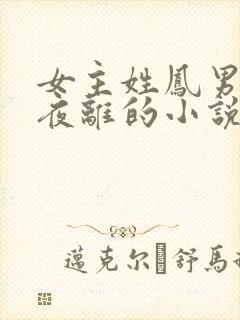 女主姓凤男主叫夜离的小说