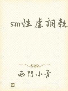 sm性虐调教文封面