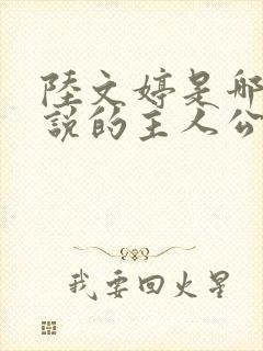 陆文婷是哪部小说的主人公