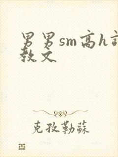 男男sm高h调教文