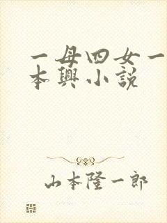 一母四女一婿胡本兴小说封面